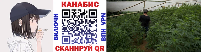 Где купить Болхов Каннабис МЕФ Гашиш