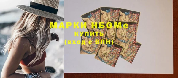 сатива Абинск