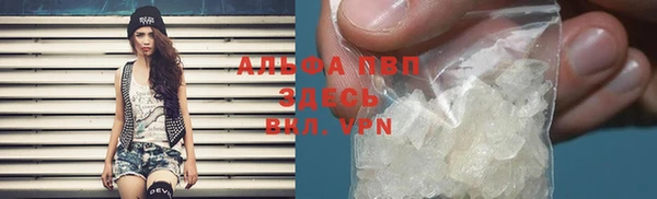 сатива Абинск